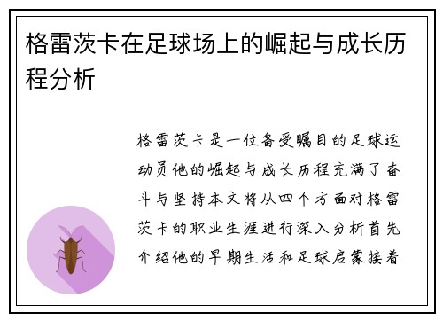 格雷茨卡在足球场上的崛起与成长历程分析