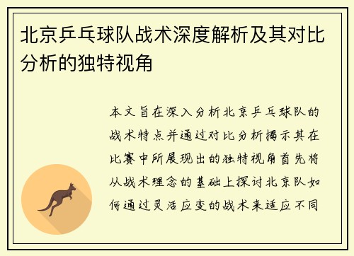 北京乒乓球队战术深度解析及其对比分析的独特视角