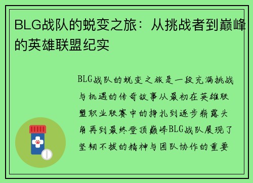 BLG战队的蜕变之旅：从挑战者到巅峰的英雄联盟纪实