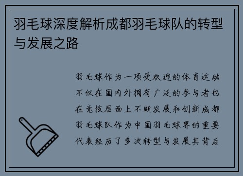 羽毛球深度解析成都羽毛球队的转型与发展之路